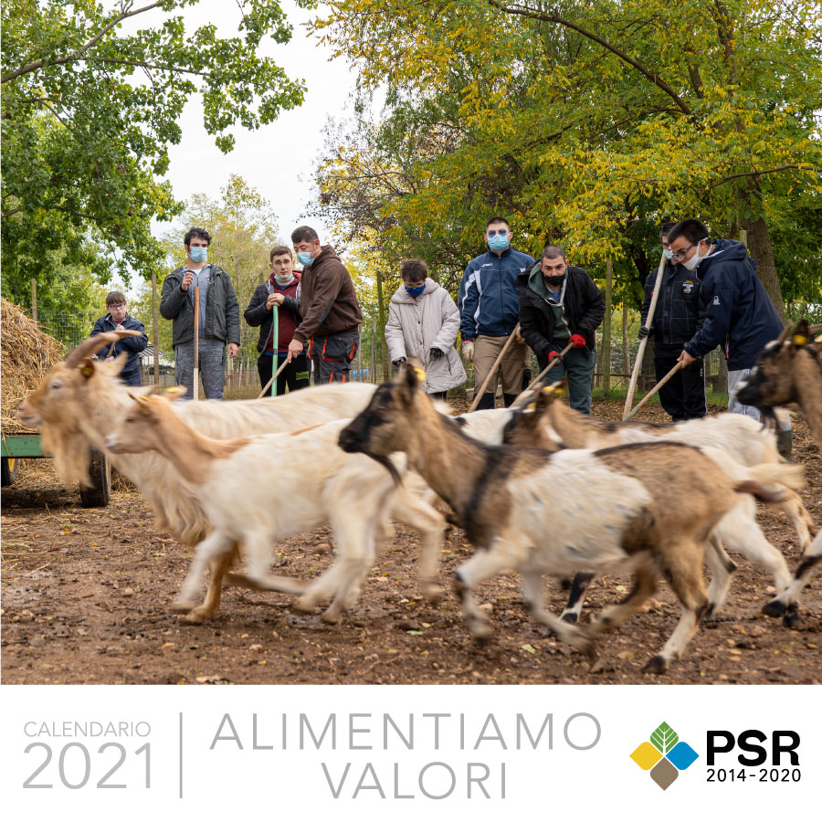 CALENDARIO PSR FVG 2021 | IL RISVOLTO SOCIALE DELL'AGRICOLTURA FVG