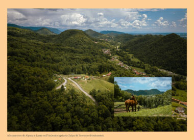 2a_Creaa_calendario-psrfvg_2026