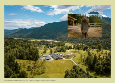 4a_Creaa_calendario-psrfvg_2026