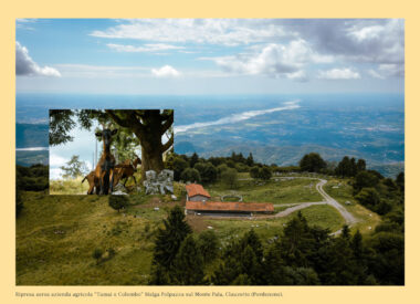 8a_Creaa_calendario-psrfvg_2026