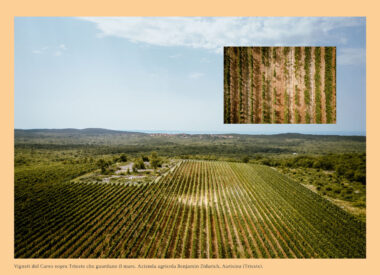 9a_Creaa_calendario-psrfvg_2026